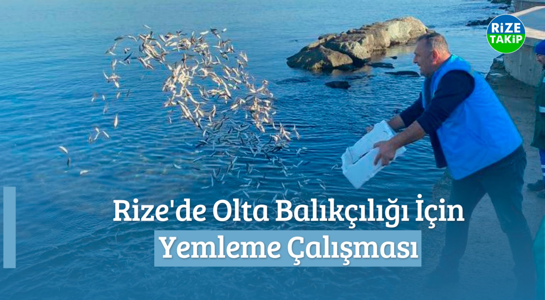 Rize'de Olta Balıkçılığı İçin 'Yemleme' Çalışması