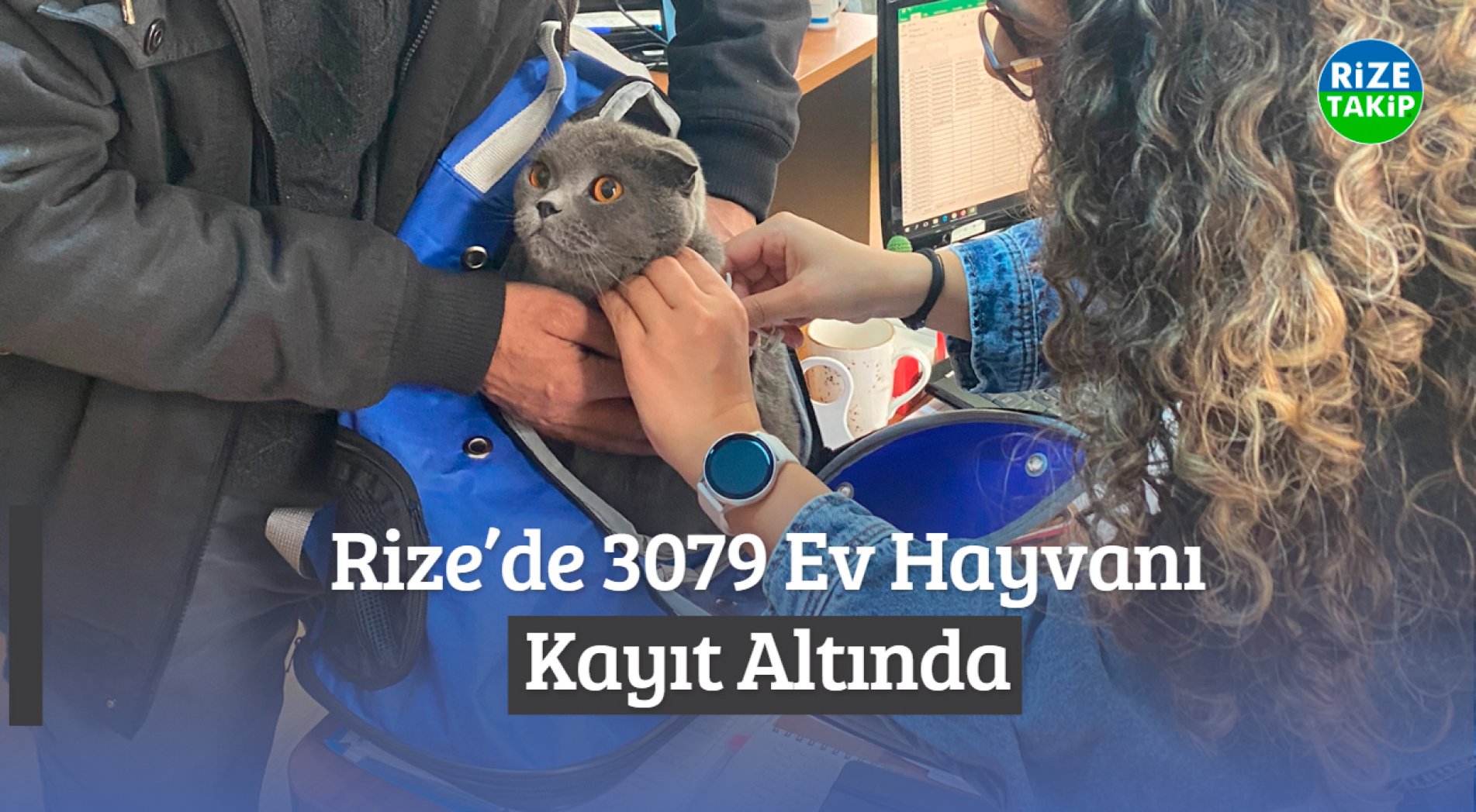 Rize’de 3079 ev hayvanı kayıt altında