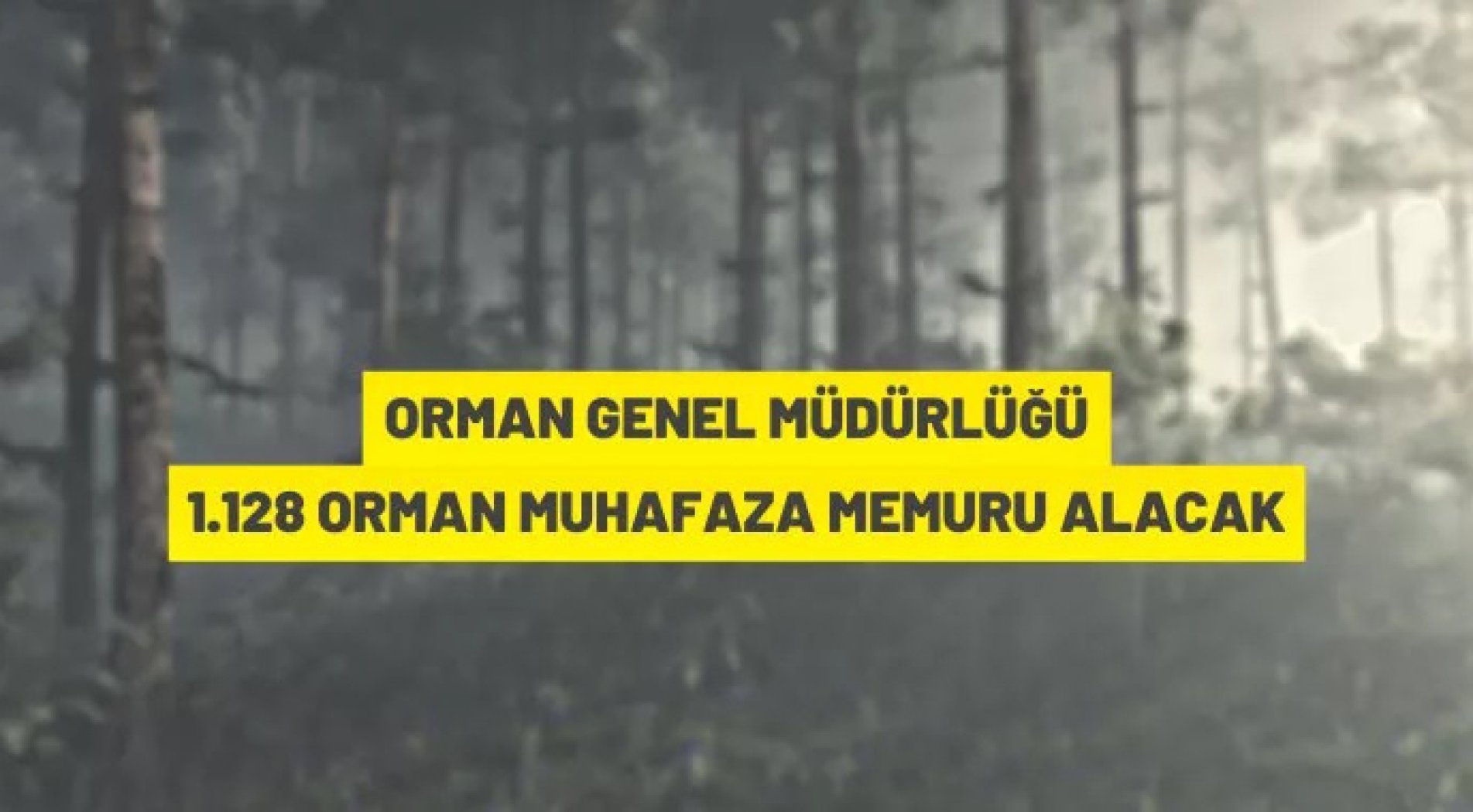 Orman Genel Müdürlüğü 1.128 orman muhafaza memuru alacak