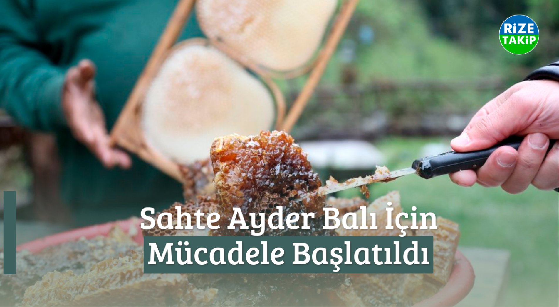 Sahte Ayder Balı İçin Mücadele Başlatıldı