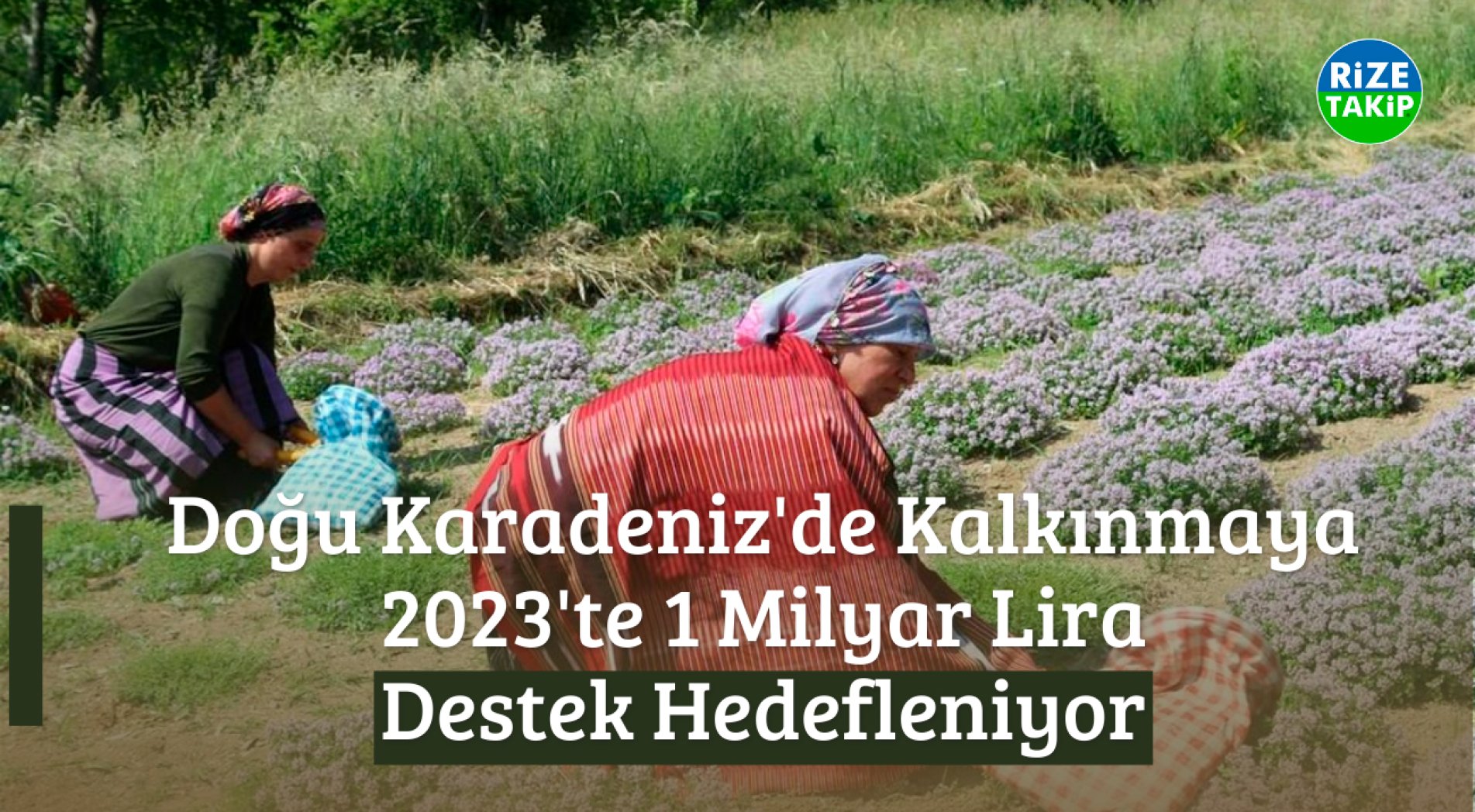 Doğu Karadeniz'de Kalkınmaya 2023'te 1 Milyar Lira Destek Hedefleniyor