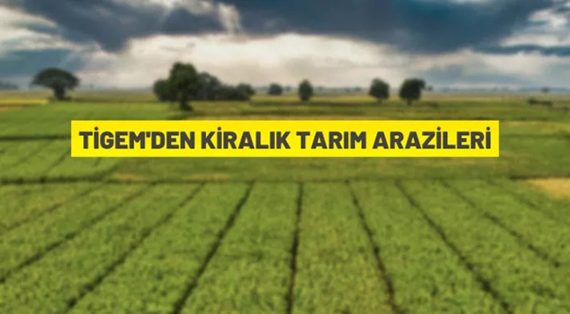 Çukurova Tarım İşletmesi Müdürlüğü, tarım arazilerini kiraya verecek