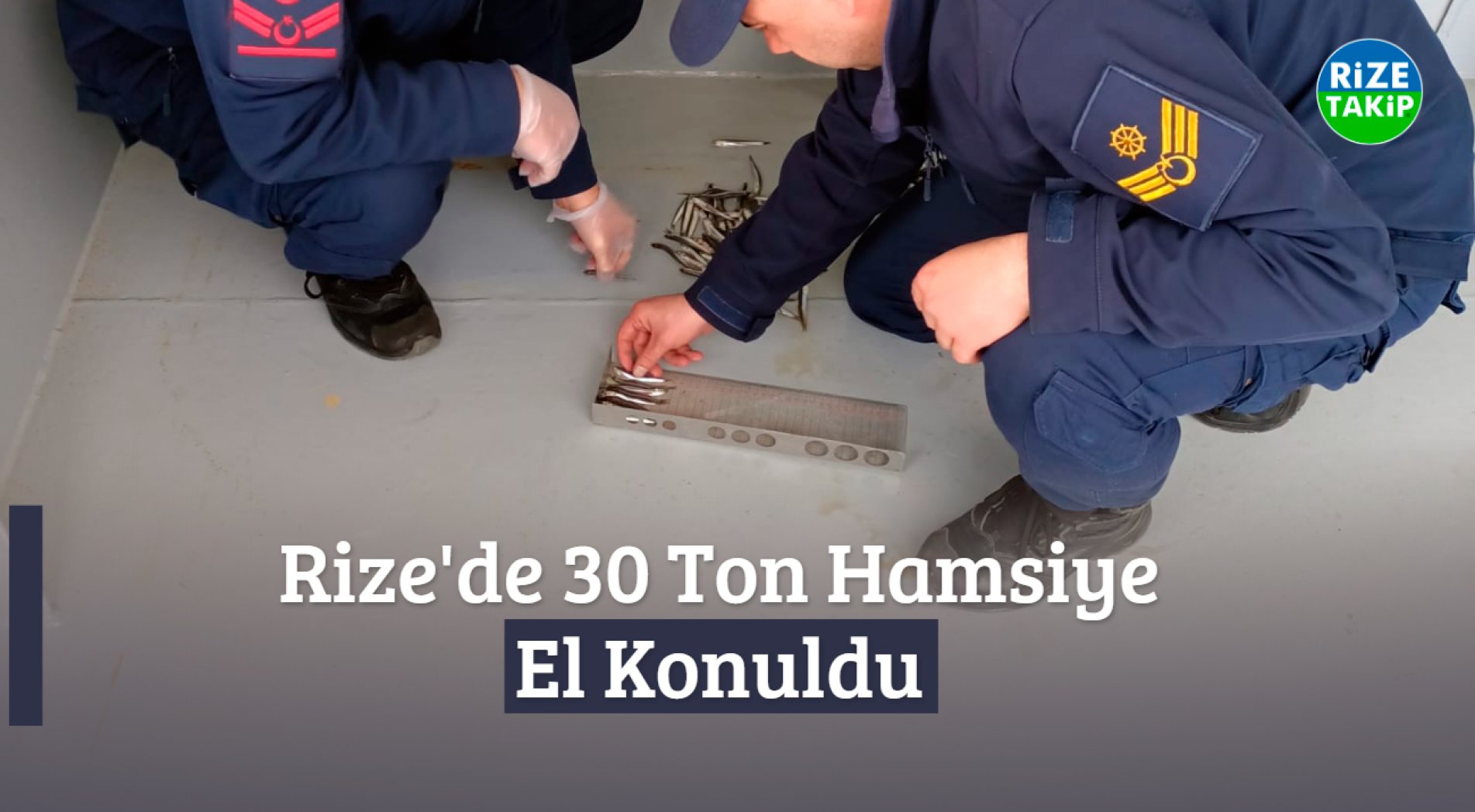 Rize'de 30 Ton Hamsiye El Konuldu