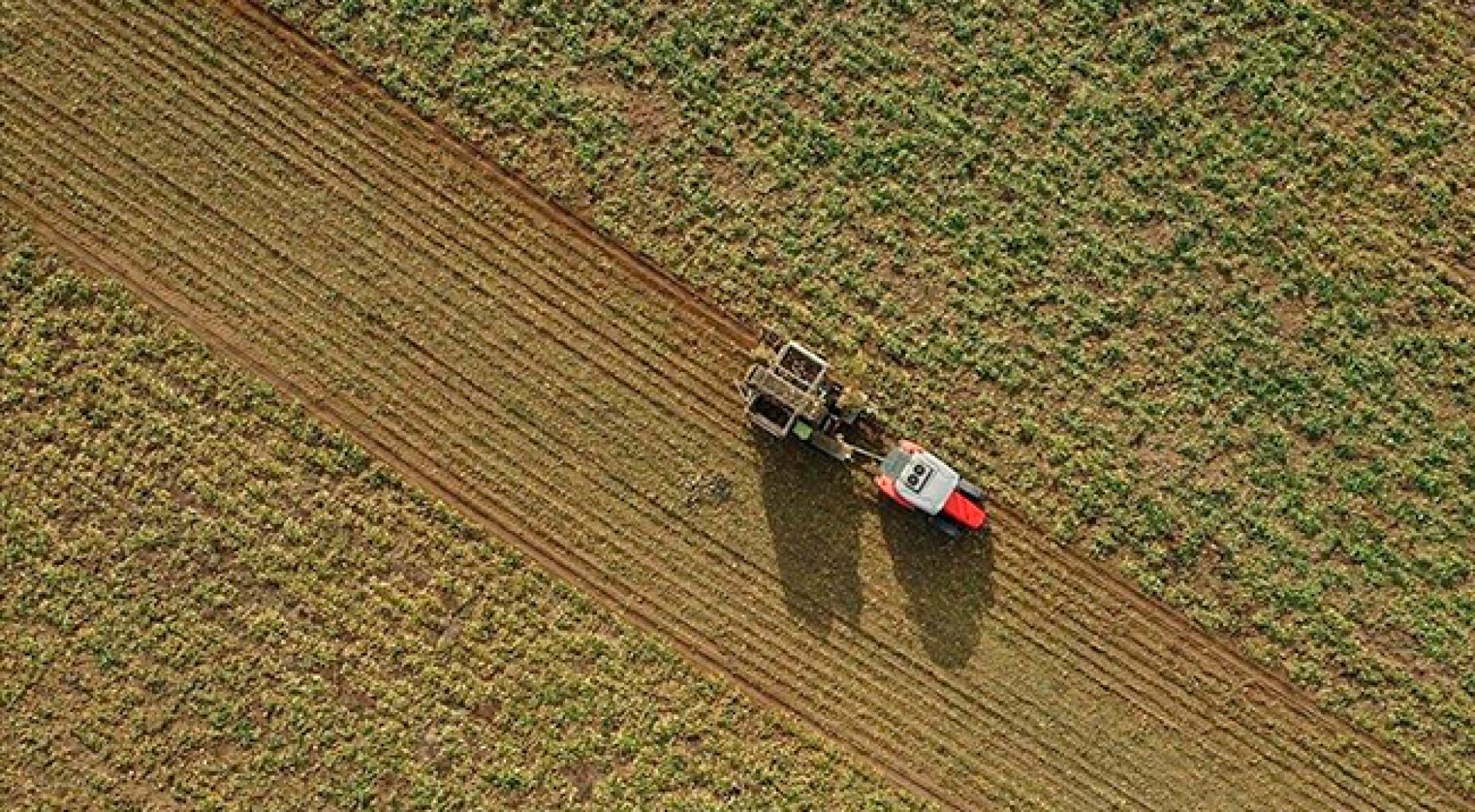 Tarımsal üretim ve tesis yatırımlarına sağlanacak destekler belli oldu