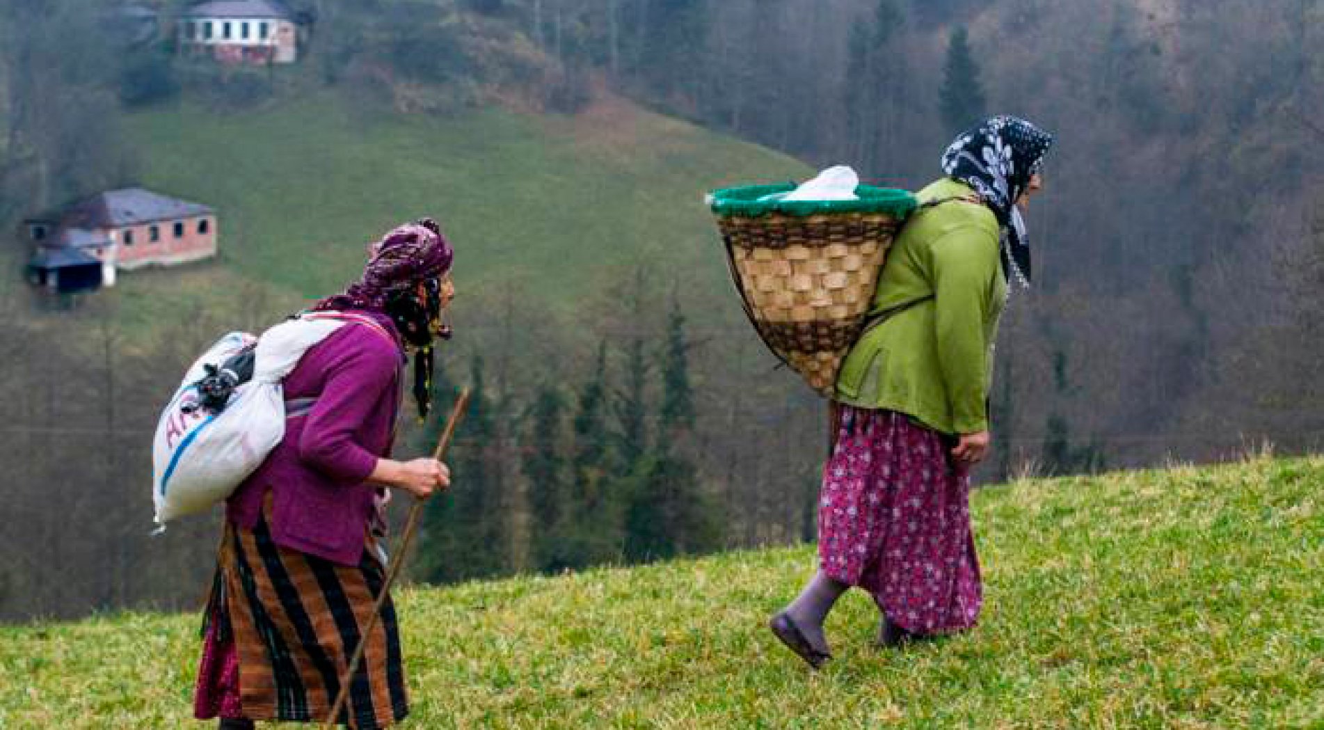 Karadeniz'in Coğrafi Yapısı,O Hastalığa Zemin Hazırlıyor