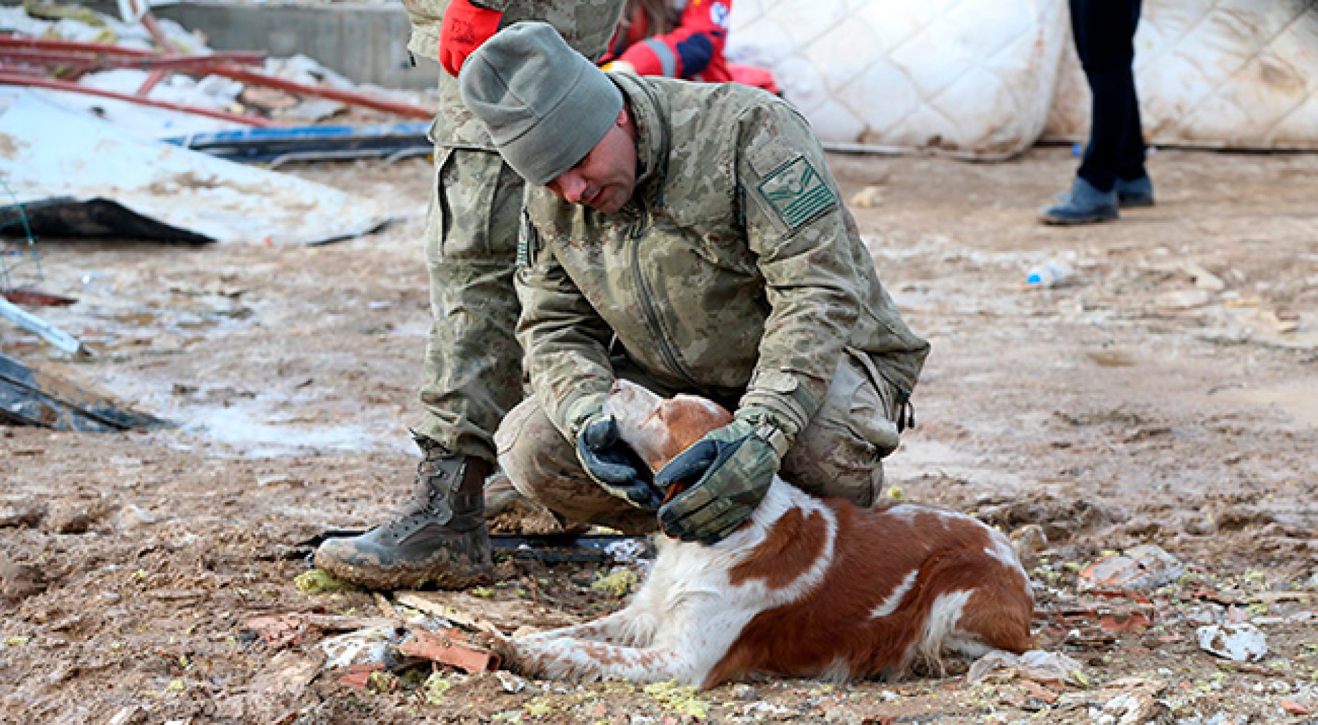 Malatyalı depremzede, av köpeği 