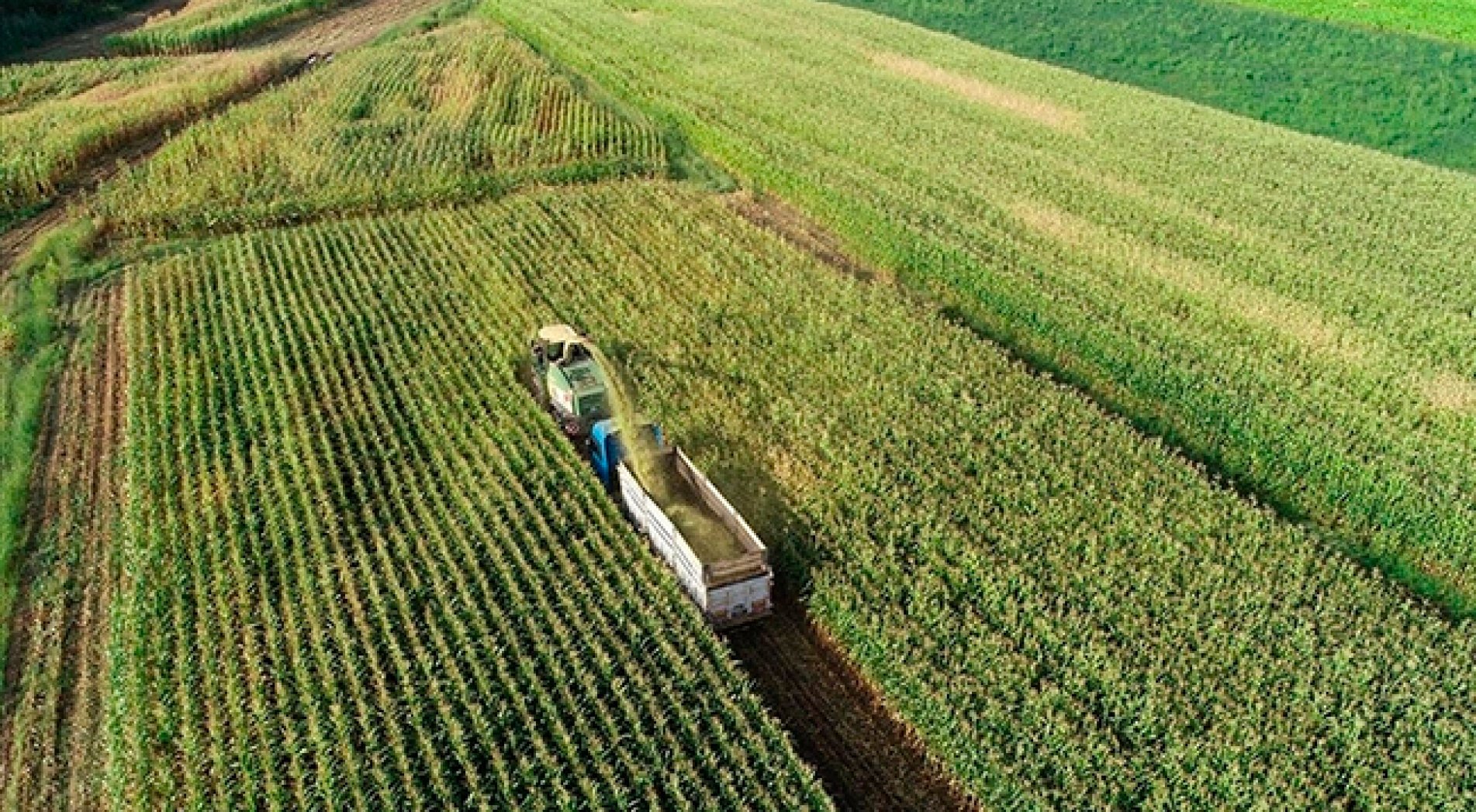 Tarımsal destek ödemeleri bugün yapılacak