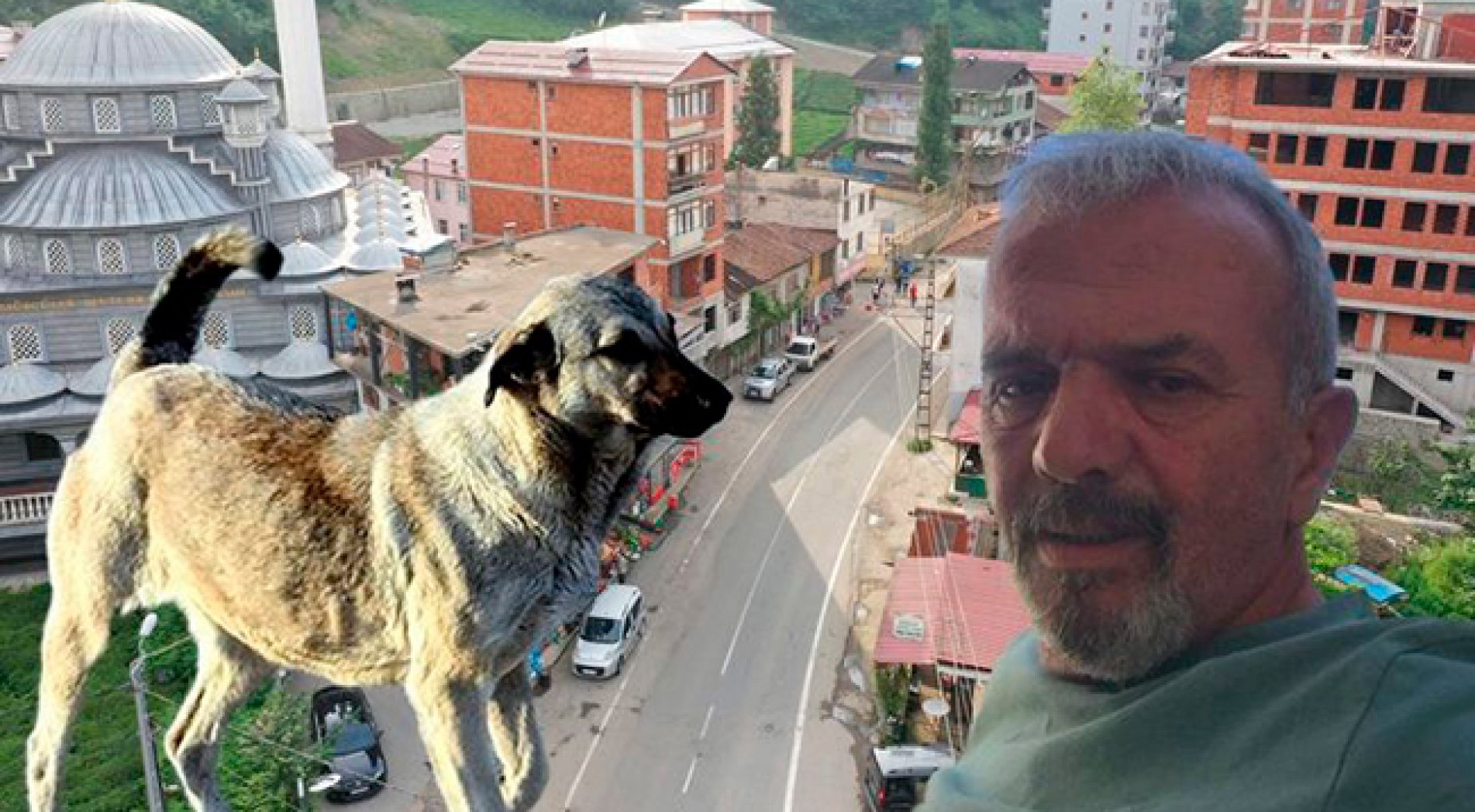 Köpeklerin Saldırısına Uğrayan Emekli Öğretmen Hayatını Kaybetti