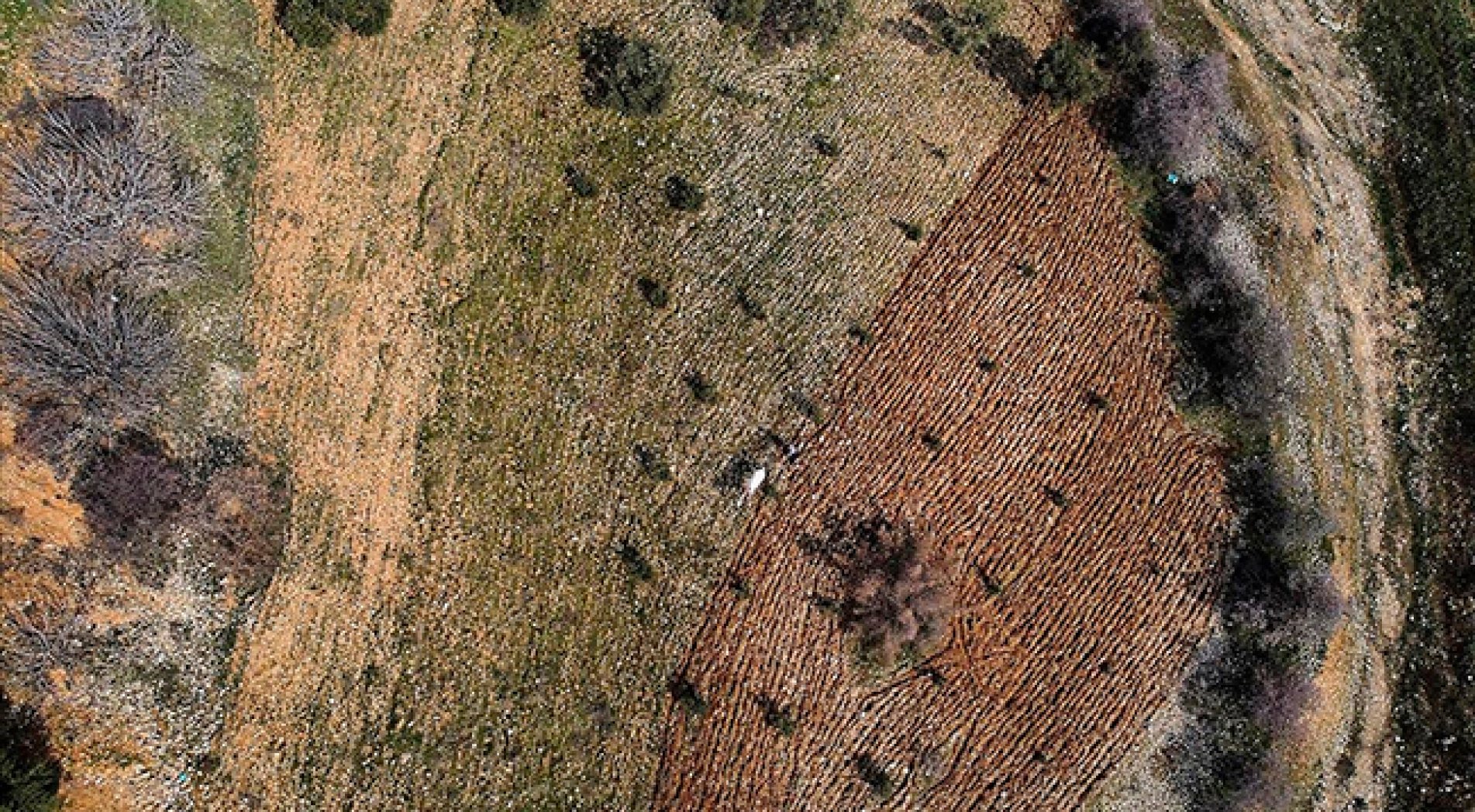 Deprem bölgesinde tarımsal faaliyet hareketleniyor