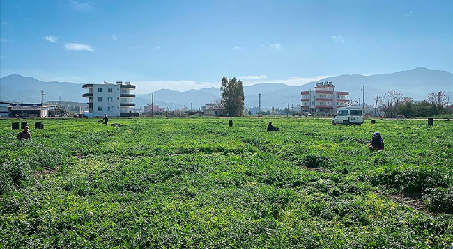 Depremzede çiftçiye yaklaşık 5 milyar liralık destek sağlandı