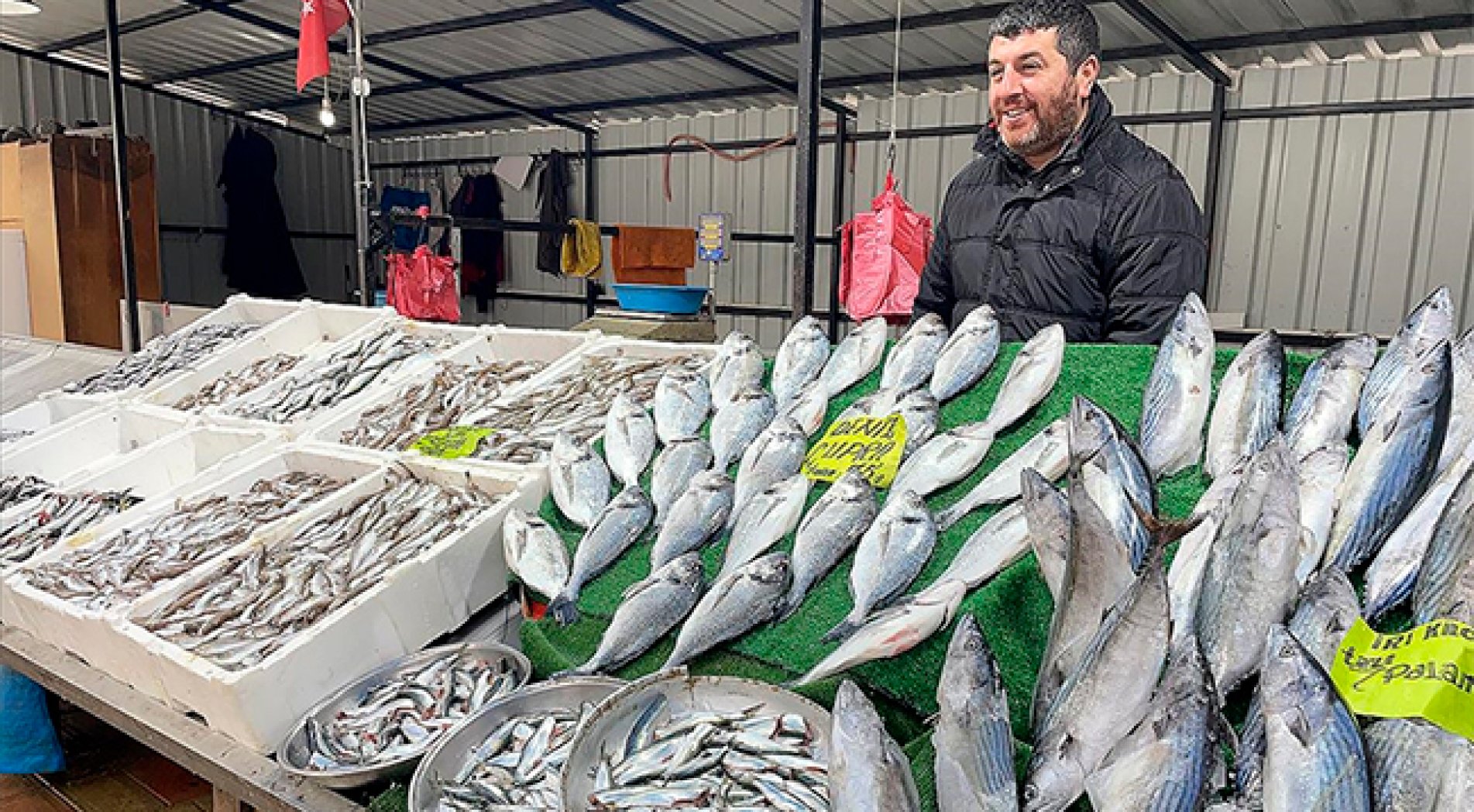 Hamside umduğunu bulamayan balıkçıların yüzünü palamut güldürdü