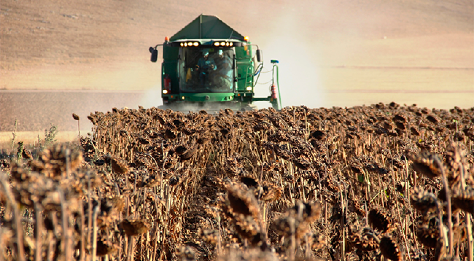 Tarım-ÜFE yıllık yüzde 127,56 arttı