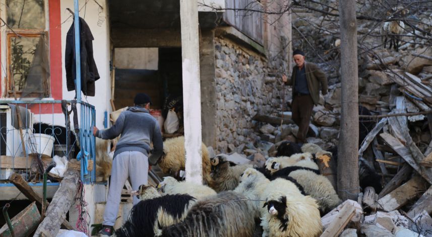 Yusufeli'nde besiciler dertli