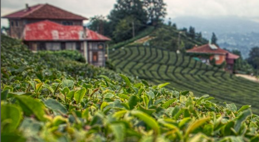 Rize'de bugün: 17 Nisan Pazartesi