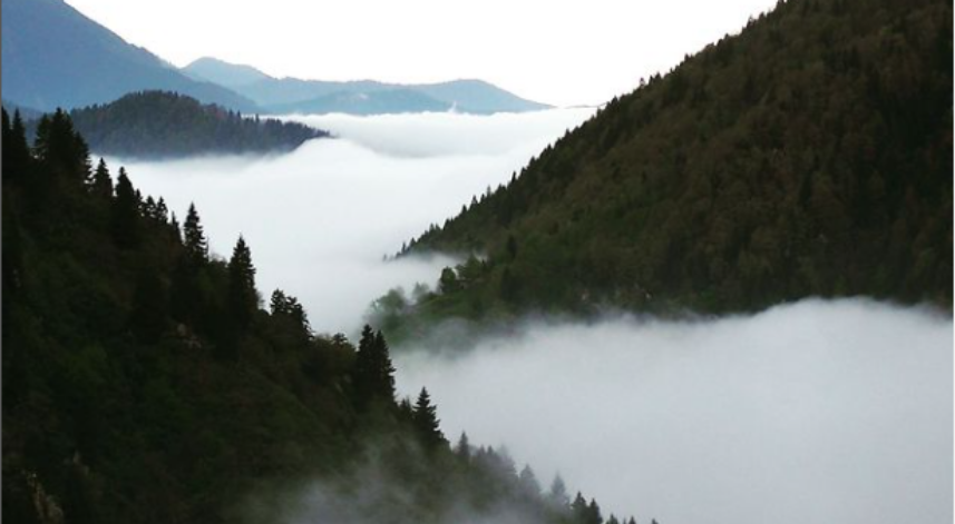 Rize'de bugün: 20 Nisan Perşembe