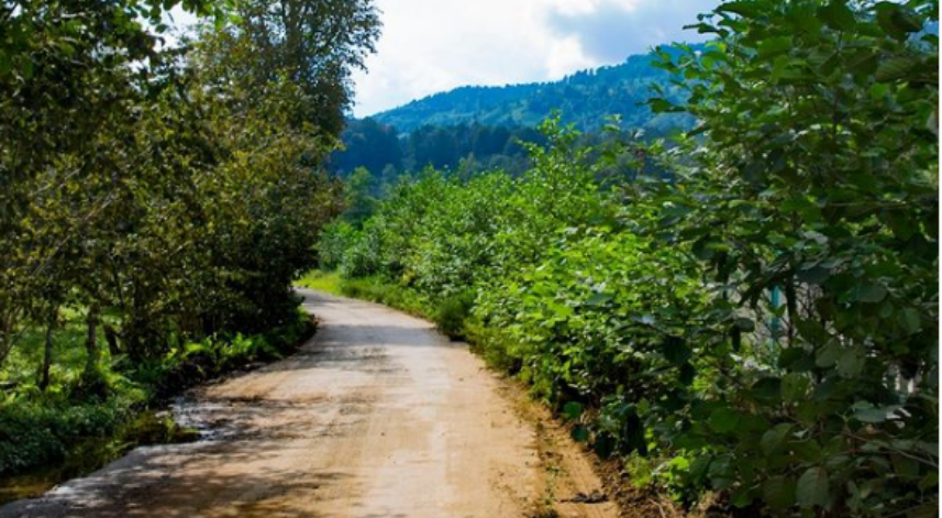 Rize'de bugün: 4 Mayıs Perşembe