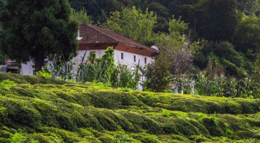 Rize'de bugün: 10 Mayıs Çarşamba