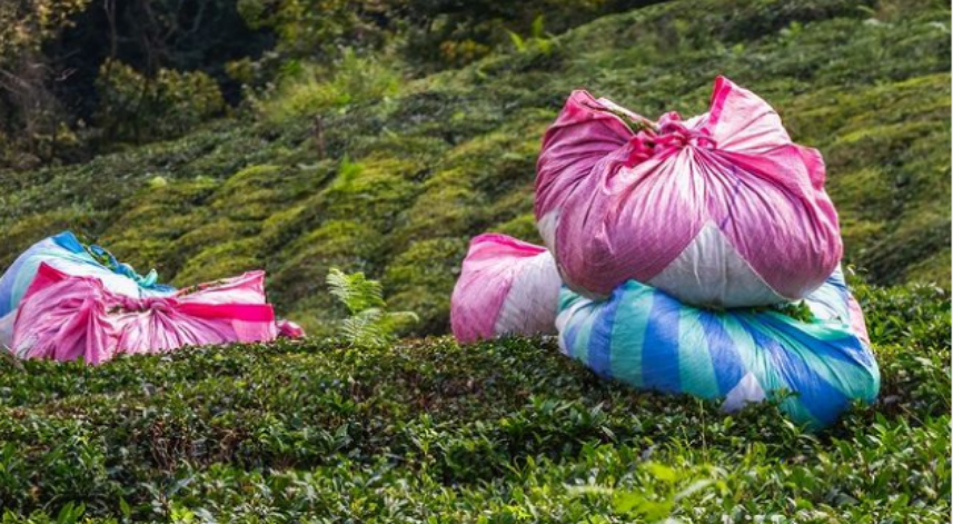 Rize'de bugün: 20 Mayıs Cumartesi