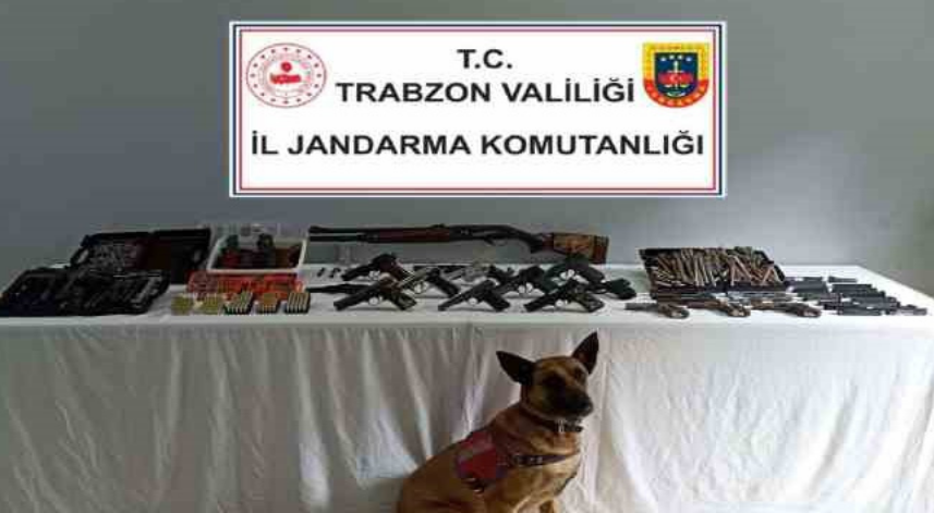 Jandarma timlerinden çifte operasyon