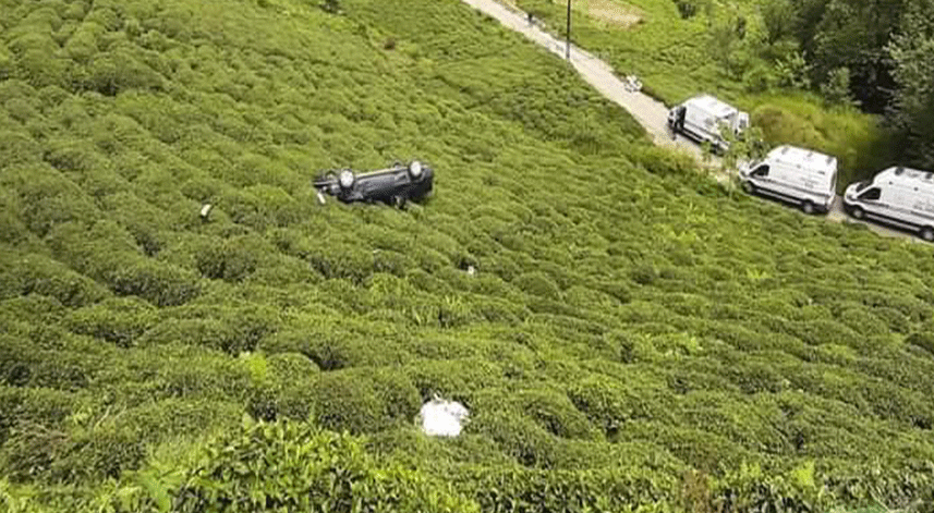 Rize'de çay bahçesine devrilen otomobildeki 2 kişi yaralandı