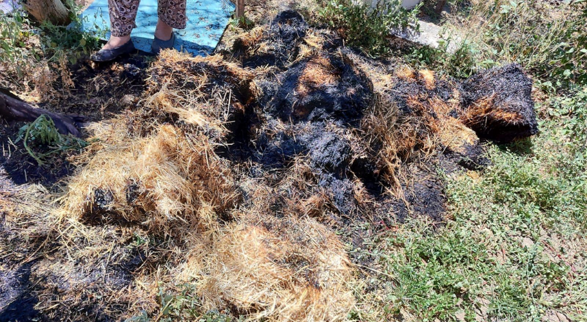 Amasya'da yangın sonucu 200 balya saman zarar gördü