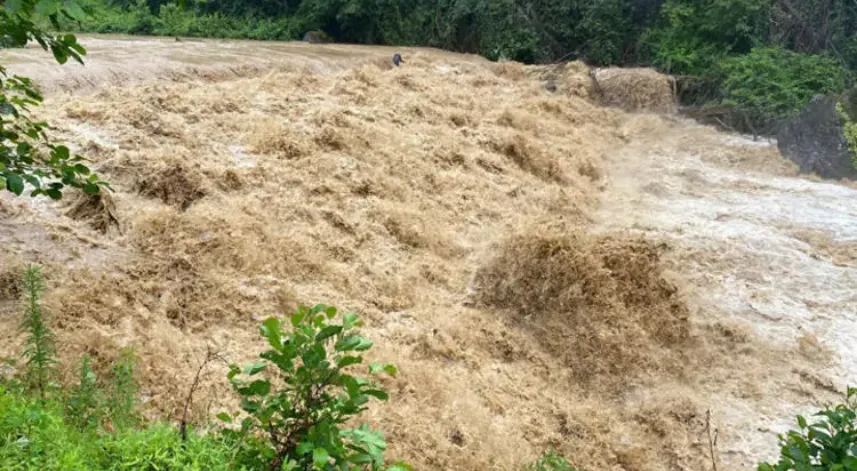 Rize'de kuvvetli yağış! Derelerin su seviyesi yükseldi