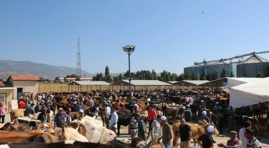 Şap hastalığı nedeniyle hayvan pazarları kapatıldı