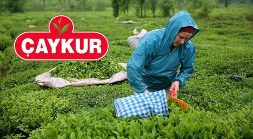 ÇAYKUR haziran ayı çay ödeme tarihi belli oldu