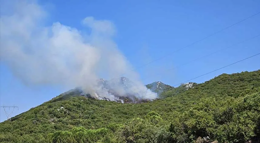 Antalya'nın Demre ilçesinde orman yangını çıktı