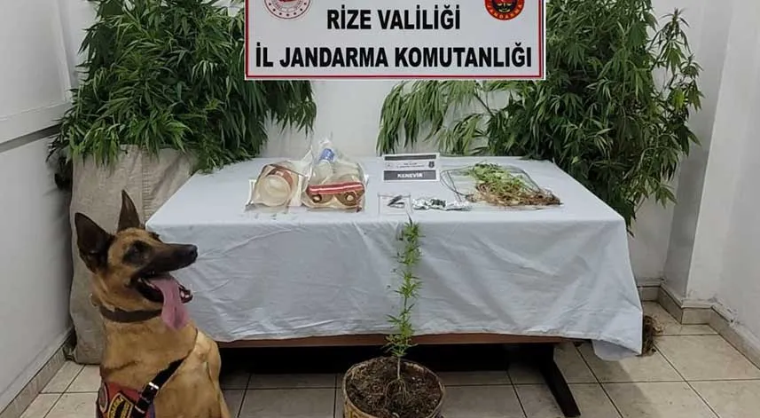 Rize'de jandarma ekipleri suç ve suçluların önüne geçiyor