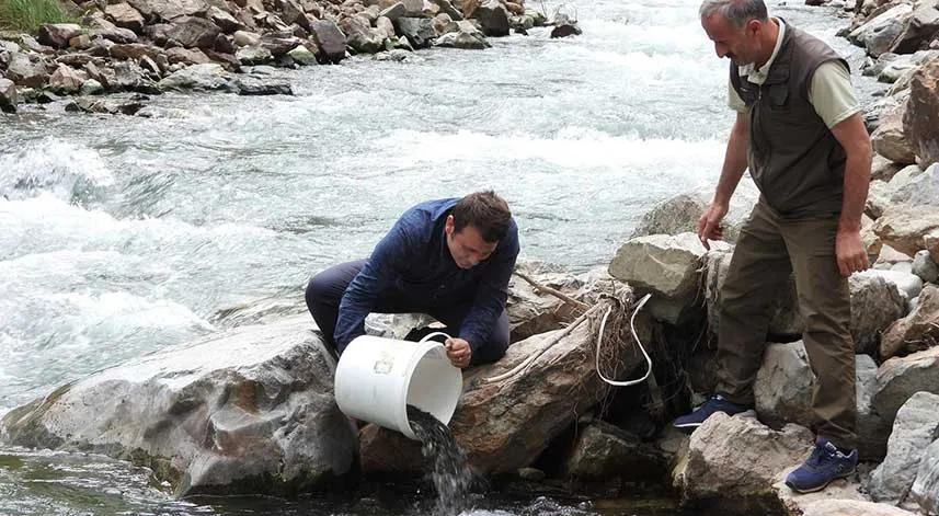 Artvin’de 60 bin adet yavru alabalık derelerle buluştu