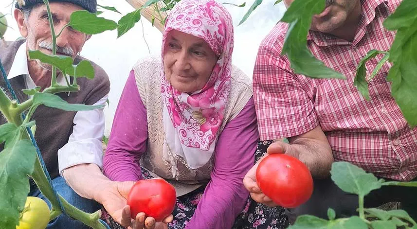 Giresun’da 'Önce Üretim Projesi' ilk meyvelerini verdi