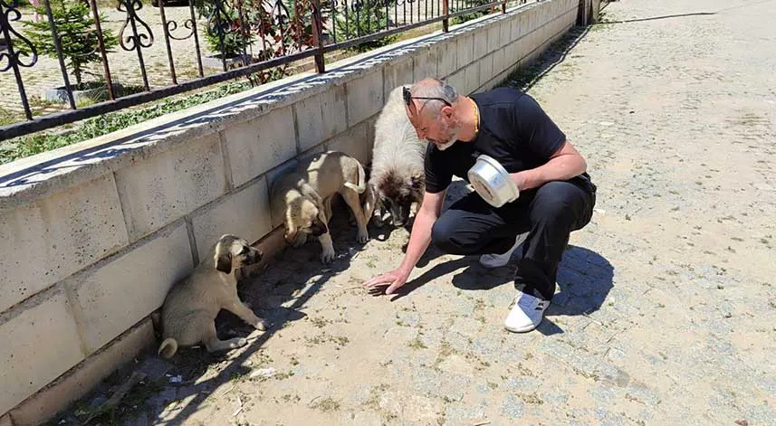 Yaylada bulduğu yaralı yavru köpeği tedavi ettirdi