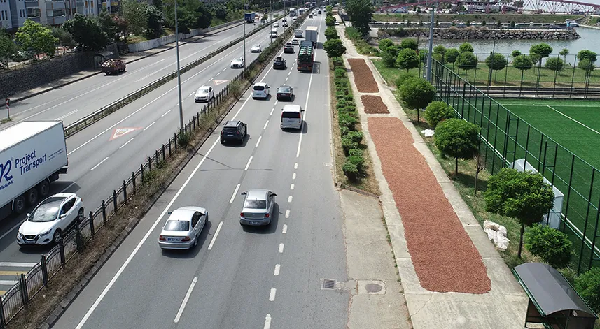 Trabzon'da üreticiler fındığı kurutmak için yol kenarlarını tercih ediyor