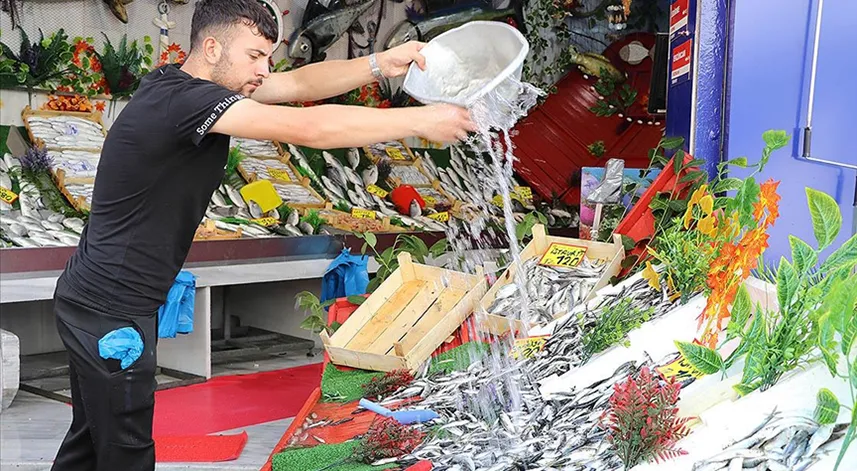 Denizlerde av yasağının sona ermesiyle balıkçı tezgahları hareketlendi