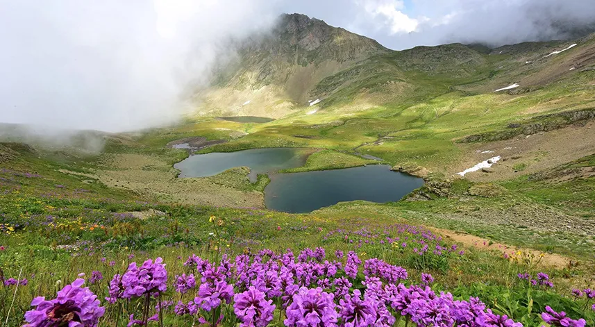 Rize'nin doğa harikası: Ambarlı Yaylası ve Balıklı Göl  