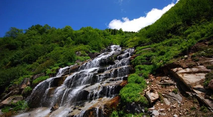 Rize'nin doğal mücevheri: Çarkıruba Şelalesi  