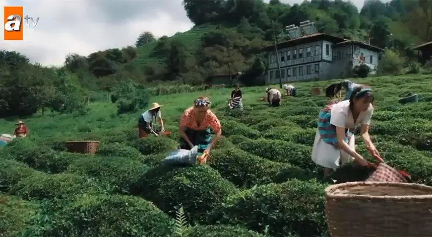 Rize'de çekilen Ben Bu Cihana Sığmazam'ın ikinci sezonundan yeni tanıtım