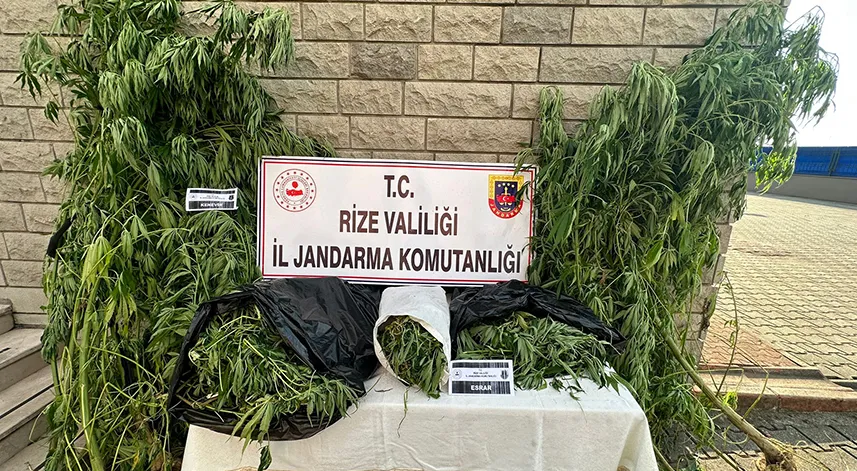 Rize'de bir ayda 6 kilo esrar ele geçirildi