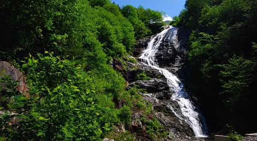 Doğanın sessiz şairi: Çetekalevi Şelalesi