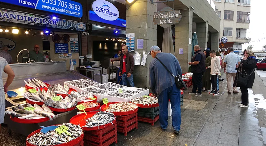 Doğu Karadeniz’in balığı Batı Karadeniz’den