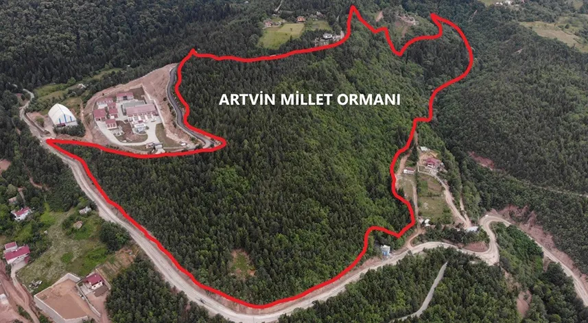 Artvin’e 10 Hektarlık alanda Millet Ormanı oluşturulacak