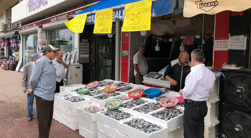 Balıkçılar halk günü yaptı: Hamsinin kilosu 35 TL’den satışa sunuldu