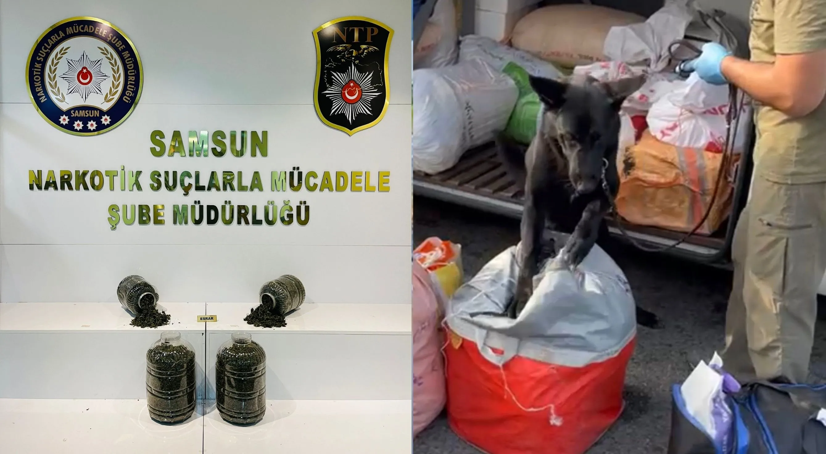 Samsun’da durdurulan yolcu otobüsünde 7,5 kilogram uyuşturucu ele geçirildi