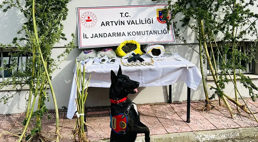 Artvin’de 21 kök Hint keneviri ve 2 kilo kubar esrar ele geçirildi