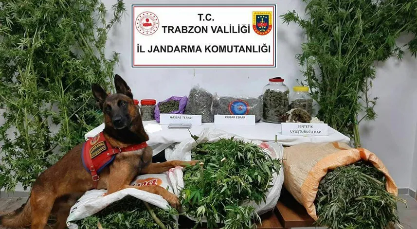 Trabzon’da 41 kilogram uyuşturucu madde ele geçirildi, 5 şüpheli gözaltına alındı