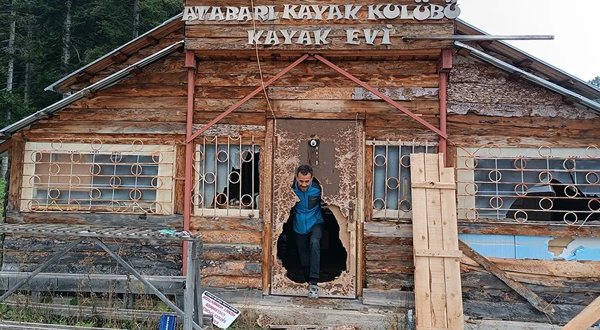 Doğu Karadeniz Bölgesinde artan ayı saldırılarına karşı uzmanlardan öneriler