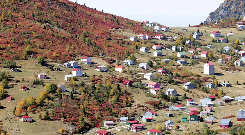 Trabzon-Giresun sınırındaki 2 bin 182 rakımlı Sis Dağı'nda güz zamanı