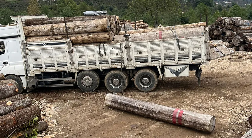 Üzerine tomruk düşen kişi öldü