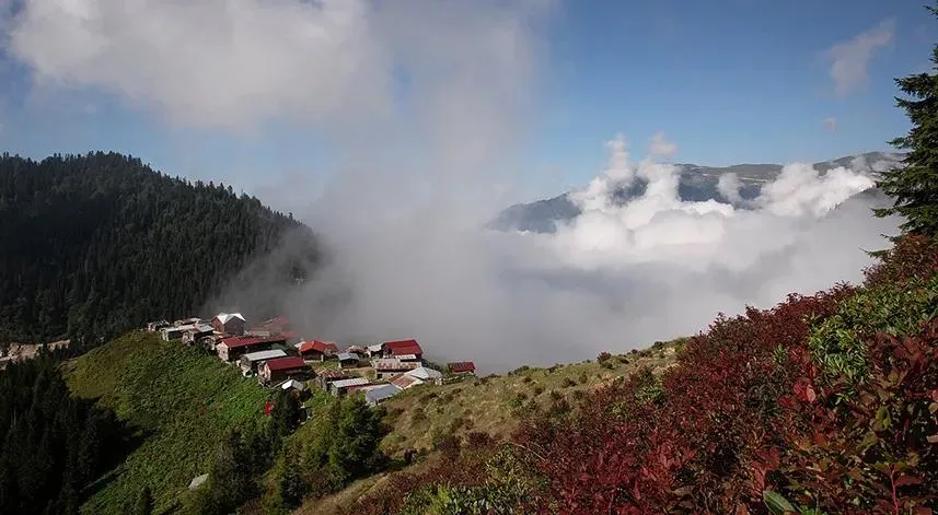 Rize'nin doğal güzelliği: Hazindak Yaylası